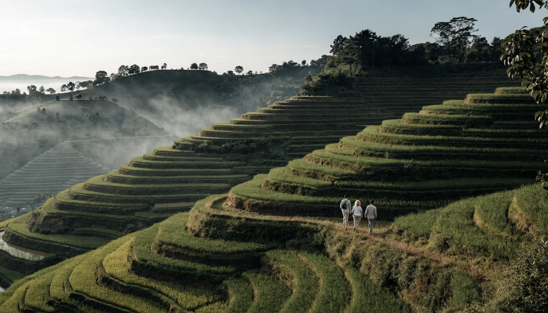 Three friends walking from behind through sunlit Bali rice terraces